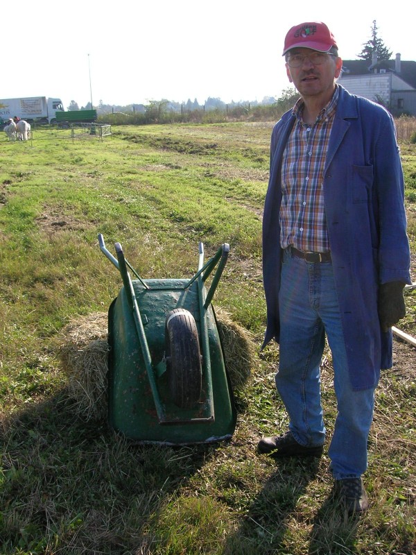 Foto