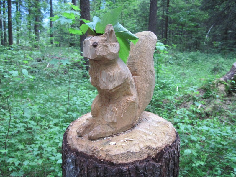 Foto