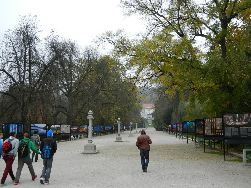 Foto