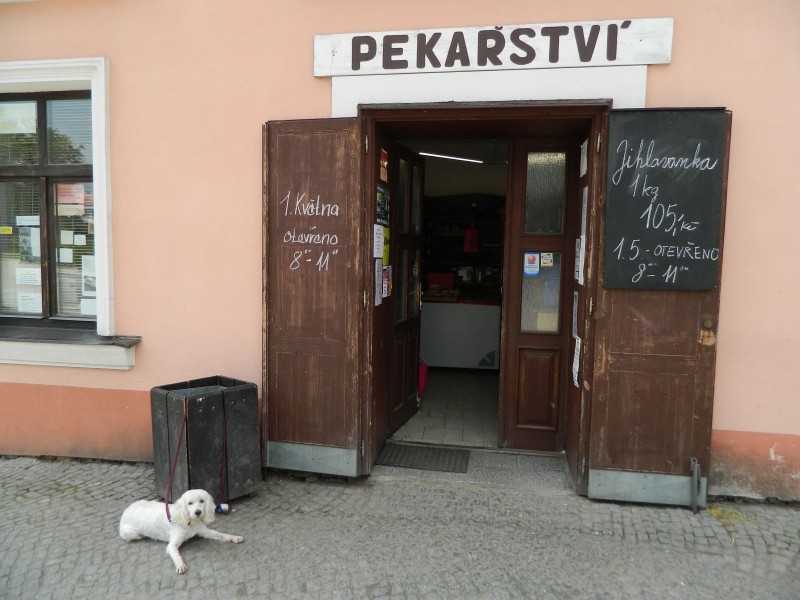 Foto