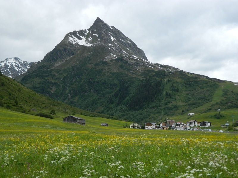 Foto