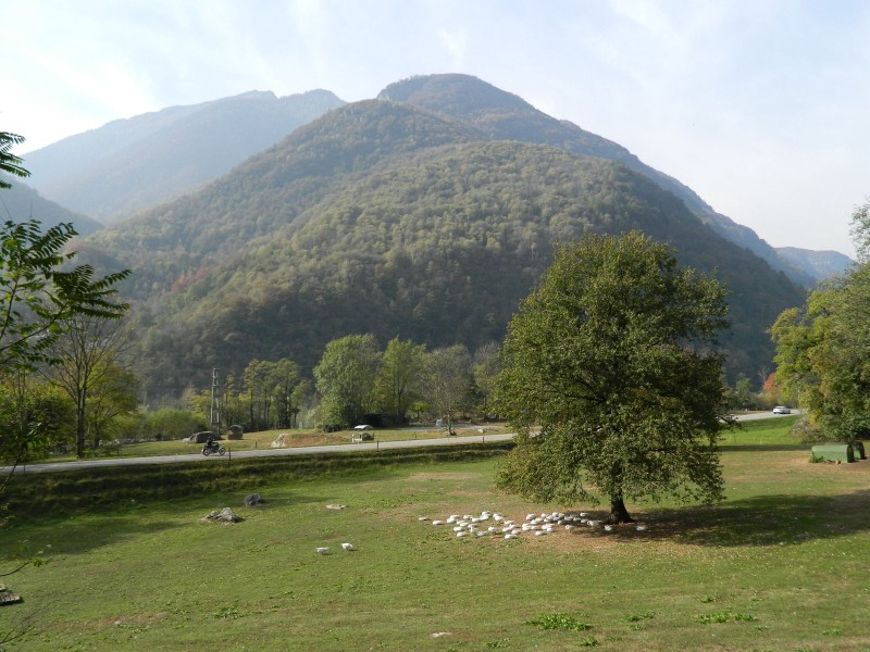 Foto