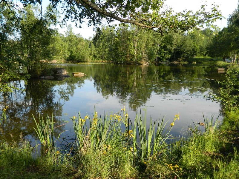 Foto