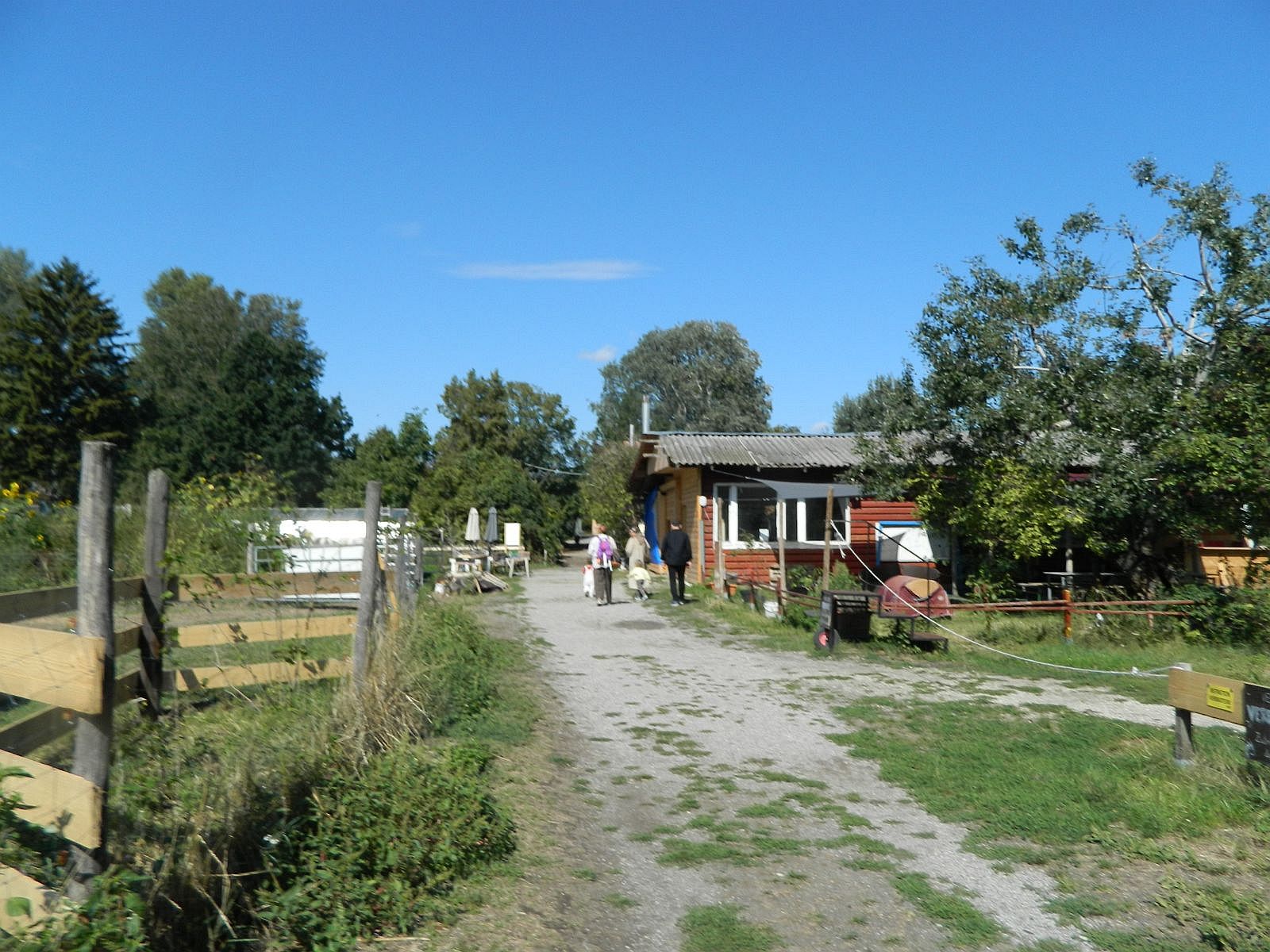 Foto